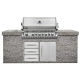 Napoleon Grills BIPRO665RBNSS2