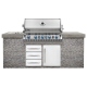 Napoleon Grills Built In BIPRO665RBNSS2 BBQ Grill
