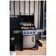 Napoleon Grills F425DPGT