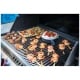 Napoleon Grills P500PSS-3