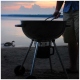 Barbecue Napoleon Grills Charcoal (PRO22K-LEG-2)