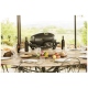Barbecue Napoleon Grills PRO285N-BK