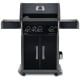 Napoleon Grills R425SIBPBE