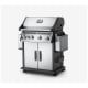 Barbecue Napoleon Grills Rogue (R525SIBPSS)