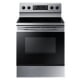Samsung NE59K3310SS 30 inch Range