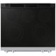 Samsung 30 inch Electric Range (NSE70H63SRAC)