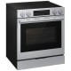 Samsung 30 inch Range (NSE90H63SRAC)