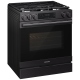 Samsung NSG80H60SEAA 30 inch Range