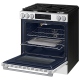 Samsung  Gas Range (NSG80H60SWAA)