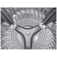 Samsung WD53DBA900HZA1