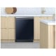 Samsung Dishwasher Accessory (DW-T24PNAQN)