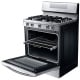 Samsung 30 inch Gas Range (NX58F5700WS)