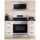 Samsung NX60A6511SS 30 inch Range