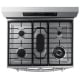 Samsung 30 inch Stainless Steel Gas Range (NX60A6711SS)