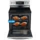 Samsung 30 inch Electric Range (FE710DRS)