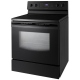 Samsung 30 inch Black Electric Range (FE-R300SB)