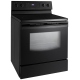 Samsung 30 inch Range (FE-R300SB)
