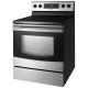 Samsung 30 inch Stainless Steel Electric Range (FE-R300SX)