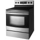 Samsung FE-R300SX 30 inch Range