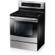 Samsung 30 inch Electric Range (NE595N0PBSR)