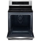 Samsung NE595N0PBSR 30 inch Range