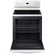 Samsung 30 inch Range (NE59J3420SW)