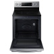 Samsung NE59J7750WS 30 inch Range