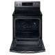 Samsung NE59J7850WG 30 inch Range