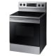 Samsung NE59K3310SS Electric Range