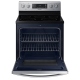 Samsung NE59T4311SS 30 inch Range