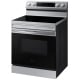 Samsung NE63A6111SS 30 inch Range