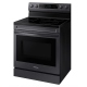 Samsung NE63A6711SG 30 inch Range