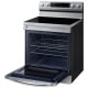 Samsung NE63F6510SR 30 inch Electric Range