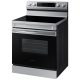 Samsung 30 inch Electric Range (NE63F6510SR)