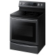 Samsung 30 inch Electric Range (NE59N6650WG)