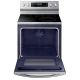 Samsung NE59N6650WS 30 inch Electric Range