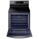Samsung NE59R6631SG 30 inch Range