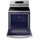 Samsung 30 inch Range (NE59R6631SS)
