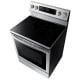 Samsung 30 inch Electric Range (NE59R6631SS)