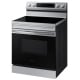 Samsung 30 inch Electric Range (NE63A6115SS)