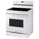 Samsung NE63A6511SW 30 inch Range