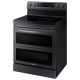 Samsung 30 inch Range (NE63A6751SG)