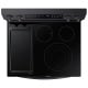 Samsung NE63A6751SG Electric Range