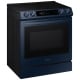 Samsung Bespoke 30 inch Range (NE63A8711QN)