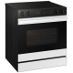 Samsung NSE6DB870012AC 30 inch Range