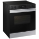 Samsung Bespoke NSE6DG8100SRAC 30 inch Range