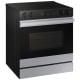 Samsung 30 inch Range (NSE6DG8700SRAC)