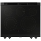 Samsung NSE6DG8700SRAC Electric Range