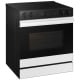 Samsung Bespoke 30 inch Range (NSG6DB870012AA)
