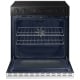 Samsung Bespoke NSG6DB870012AA 30 inch Gas Range